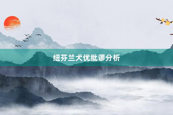 纽芬兰犬优纰谬分析