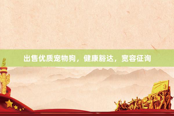 出售优质宠物狗，健康豁达，宽容征询